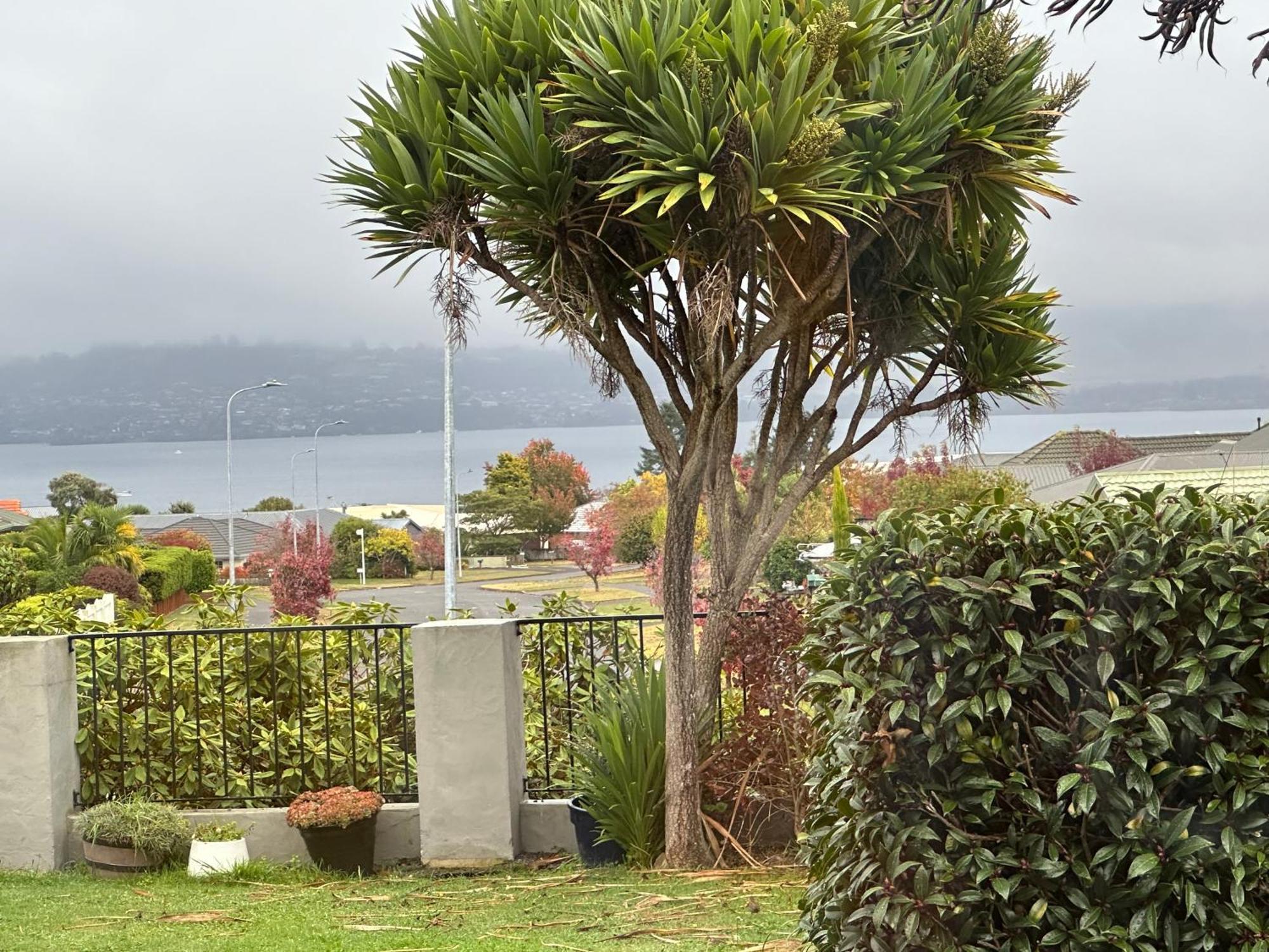 Lakeview Holiday Hideaway Taupo Exterior photo